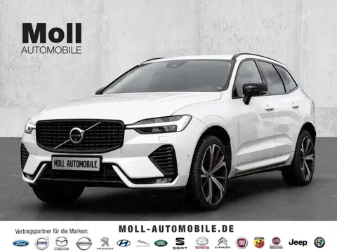 Annonce VOLVO XC60 Diesel 2023 d'occasion 