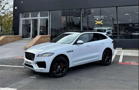 Used JAGUAR F-PACE Diesel 2020 Ad 