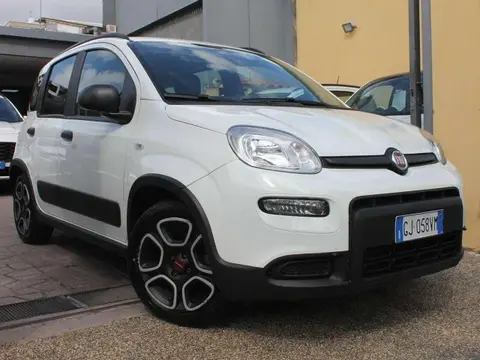 Annonce FIAT PANDA Hybride 2022 d'occasion 