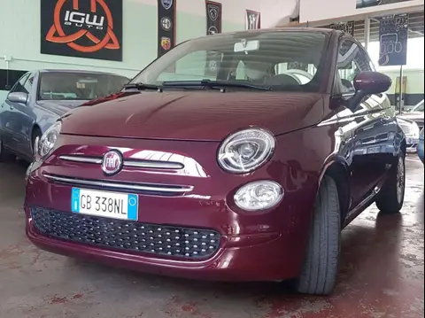 Used FIAT 500 Petrol 2020 Ad 