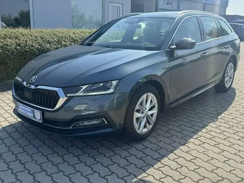 Used SKODA OCTAVIA Diesel 2020 Ad 