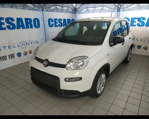 Annonce FIAT PANDA Hybride 2024 d'occasion 