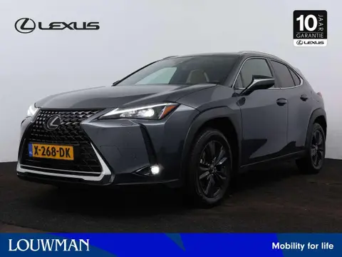 Used LEXUS UX Hybrid 2023 Ad 