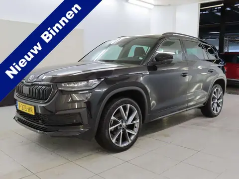 Used SKODA KODIAQ Petrol 2022 Ad 