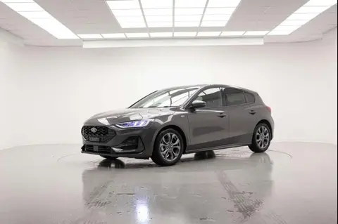 Used FORD FOCUS Hybrid 2024 Ad 