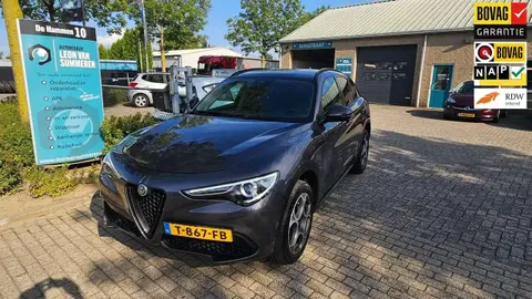 Annonce ALFA ROMEO STELVIO Essence 2019 d'occasion 