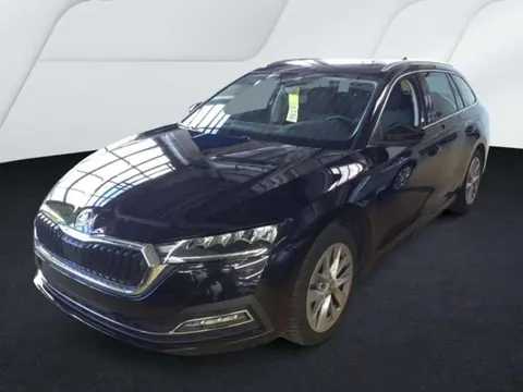 Annonce SKODA OCTAVIA Essence 2024 d'occasion 