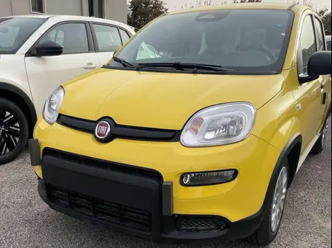 Annonce FIAT PANDA Hybride 2024 d'occasion 