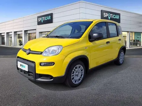 Annonce FIAT PANDA Essence 2024 d'occasion 