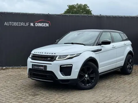 Used LAND ROVER RANGE ROVER EVOQUE Diesel 2017 Ad 