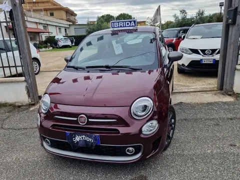 Used FIAT 500 Hybrid 2020 Ad 