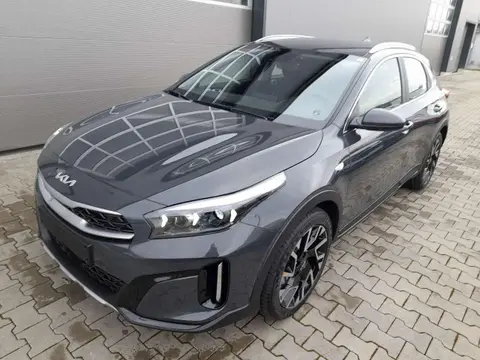 Used KIA XCEED Petrol 2024 Ad 