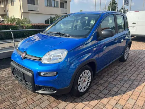 Annonce FIAT PANDA Hybride 2024 d'occasion 