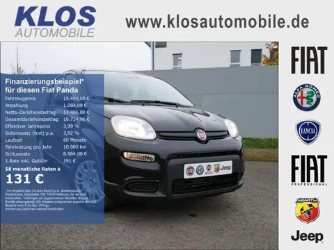 Used FIAT PANDA Petrol 2024 Ad 