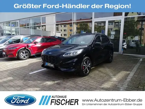 Used FORD KUGA Hybrid 2023 Ad 