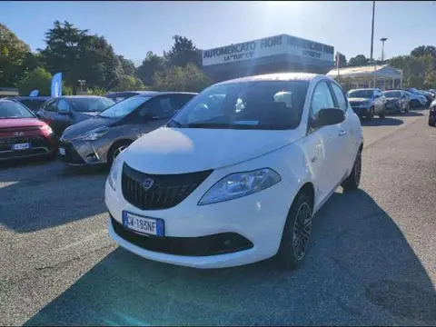 Used LANCIA YPSILON Hybrid 2024 Ad 