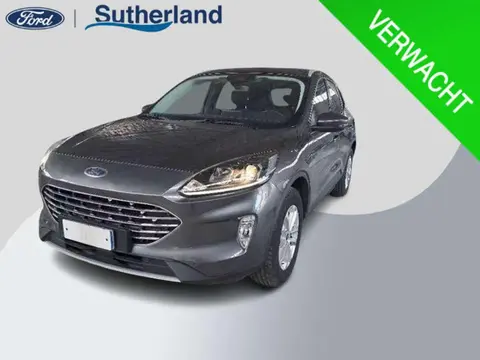 Used FORD KUGA Hybrid 2022 Ad 