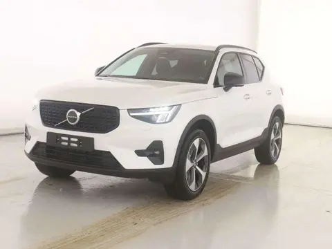 Used VOLVO XC40 Hybrid 2024 Ad 