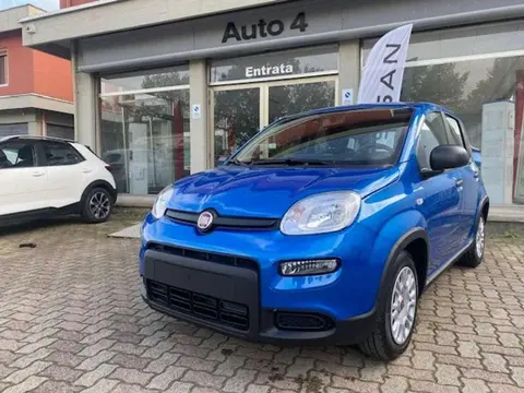 Annonce FIAT PANDA Hybride 2024 d'occasion 