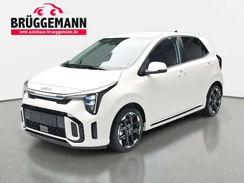 Used KIA PICANTO Petrol 2024 Ad 