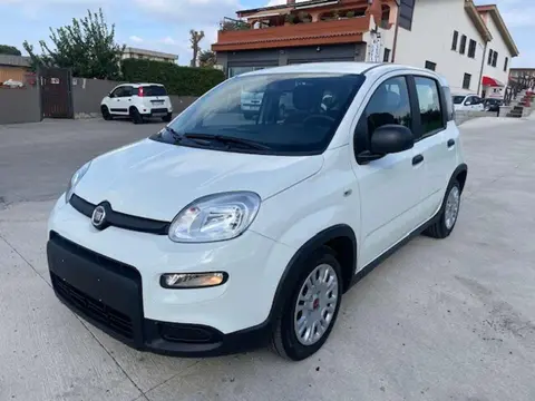 Annonce FIAT PANDA Hybride 2024 d'occasion 