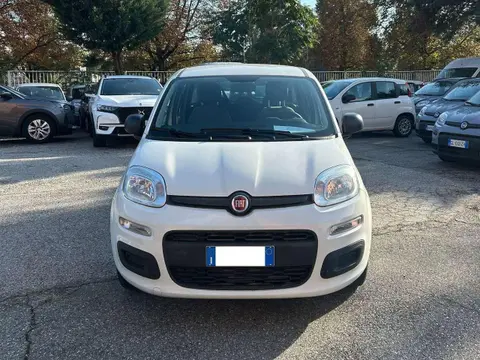 Used FIAT PANDA Hybrid 2022 Ad 