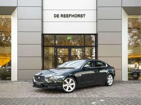 Used JAGUAR XE Diesel 2016 Ad 