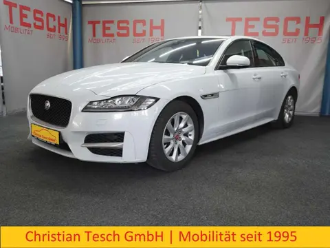 Used JAGUAR XF Diesel 2017 Ad 