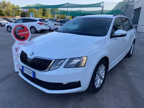 Annonce SKODA OCTAVIA Diesel 2019 d'occasion 