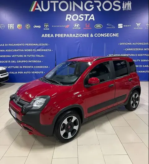 Used FIAT PANDA Hybrid 2023 Ad 