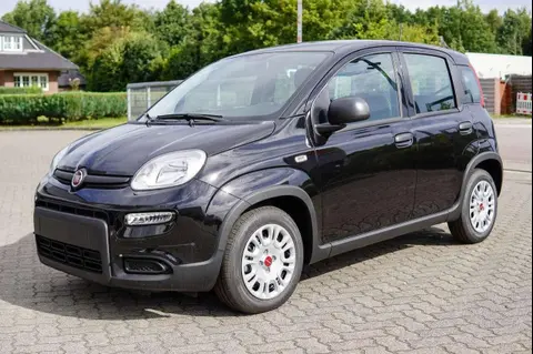 Annonce FIAT PANDA Essence 2024 d'occasion 