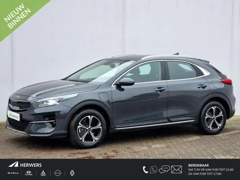 Used KIA XCEED Hybrid 2021 Ad 