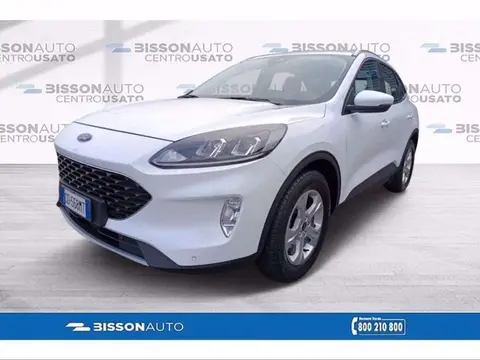 Used FORD KUGA Diesel 2020 Ad 