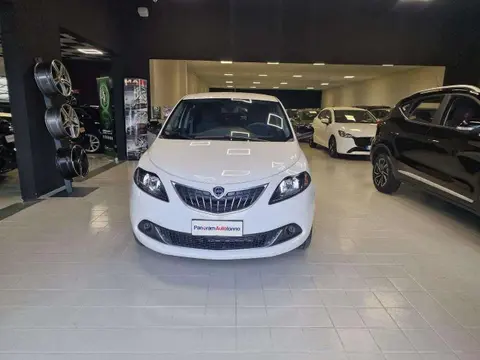 Used LANCIA YPSILON Hybrid 2024 Ad 