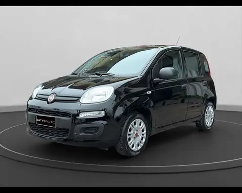 Used FIAT PANDA Hybrid 2024 Ad 