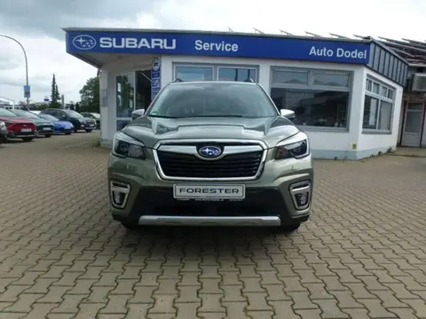 Used SUBARU FORESTER Hybrid 2021 Ad 