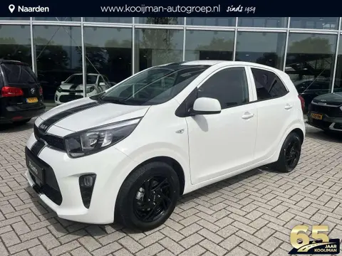 Annonce KIA PICANTO Essence 2024 d'occasion 