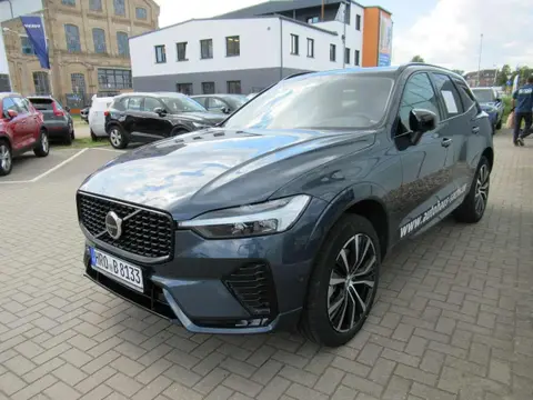 Annonce VOLVO XC60 Diesel 2024 d'occasion 