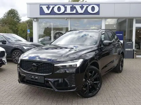 Annonce VOLVO XC60 Hybride 2024 d'occasion 