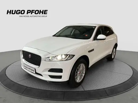 Used JAGUAR F-PACE Diesel 2020 Ad 