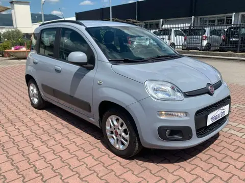 Annonce FIAT PANDA Essence 2017 d'occasion 