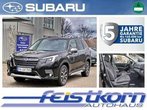 Annonce SUBARU FORESTER Essence 2023 d'occasion 