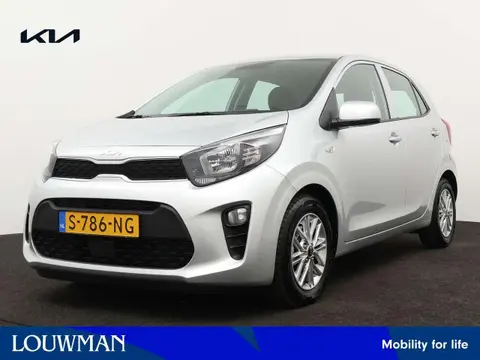 Used KIA PICANTO Petrol 2023 Ad 