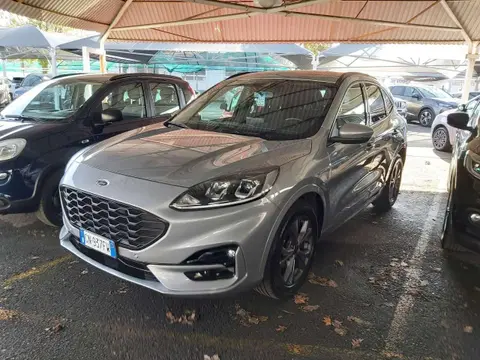 Annonce FORD KUGA Diesel 2023 d'occasion 