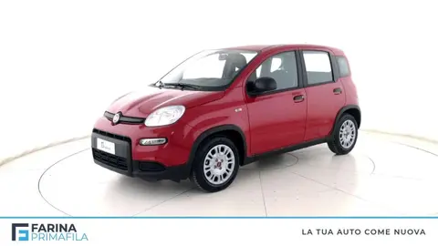 Annonce FIAT PANDA Hybride 2024 d'occasion 