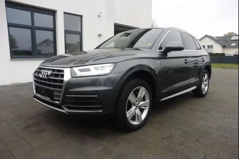 Used AUDI Q5 Diesel 2019 Ad 