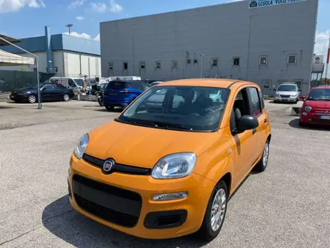 Used FIAT PANDA Hybrid 2021 Ad 