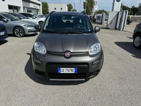 Used FIAT PANDA Hybrid 2022 Ad 