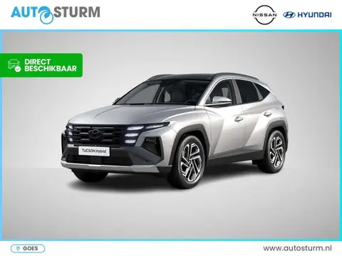 Annonce HYUNDAI TUCSON Hybride 2024 d'occasion 