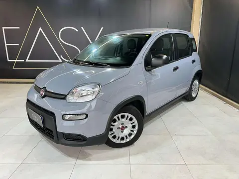 Annonce FIAT PANDA Hybride 2023 d'occasion 